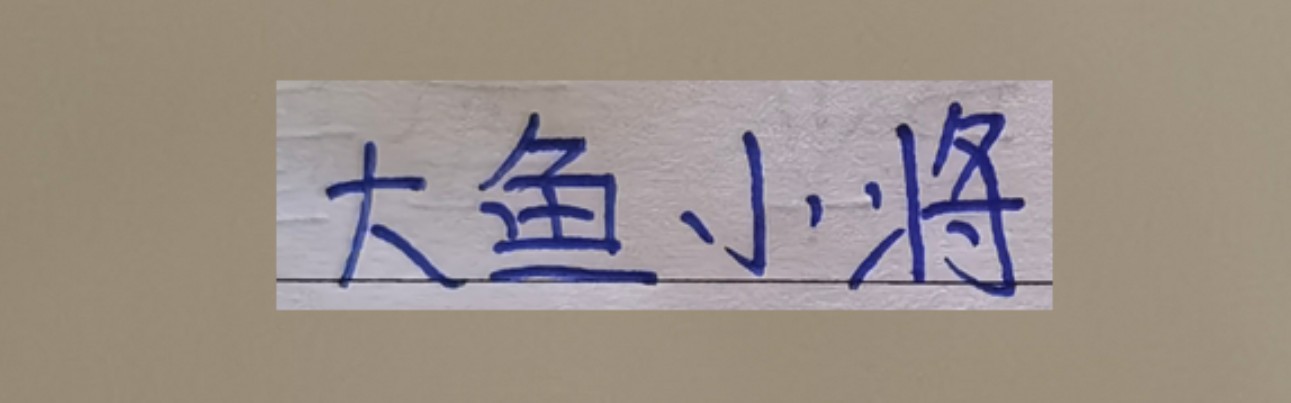 开云官网-超级杯海港新大鱼 带球和突破不亚于巴尔加斯！